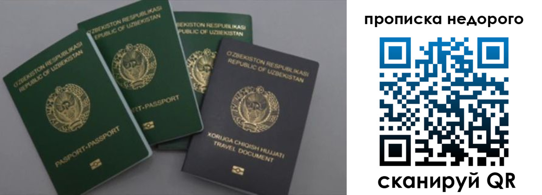 регистрация для школы в Кандалакше